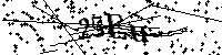Lūdzu, ierakstiet zemāk norādītos burtus un ciparus