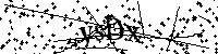 Lūdzu, ierakstiet zemāk norādītos burtus un ciparus