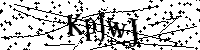 Lūdzu, ierakstiet zemāk norādītos burtus un ciparus