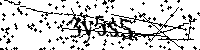 Lūdzu, ierakstiet zemāk norādītos burtus un ciparus