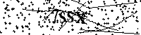 Lūdzu, ierakstiet zemāk norādītos burtus un ciparus