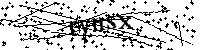 Lūdzu, ierakstiet zemāk norādītos burtus un ciparus