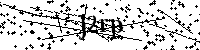 Lūdzu, ierakstiet zemāk norādītos burtus un ciparus