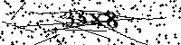 Lūdzu, ierakstiet zemāk norādītos burtus un ciparus