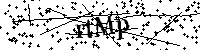 Lūdzu, ierakstiet zemāk norādītos burtus un ciparus