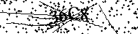 Lūdzu, ierakstiet zemāk norādītos burtus un ciparus