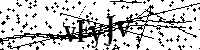 Lūdzu, ierakstiet zemāk norādītos burtus un ciparus