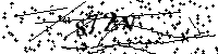 Lūdzu, ierakstiet zemāk norādītos burtus un ciparus