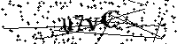 Lūdzu, ierakstiet zemāk norādītos burtus un ciparus