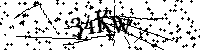 Lūdzu, ierakstiet zemāk norādītos burtus un ciparus