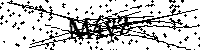 Lūdzu, ierakstiet zemāk norādītos burtus un ciparus