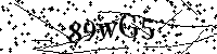 Lūdzu, ierakstiet zemāk norādītos burtus un ciparus