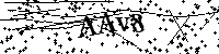 Lūdzu, ierakstiet zemāk norādītos burtus un ciparus