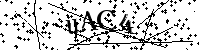 Lūdzu, ierakstiet zemāk norādītos burtus un ciparus