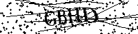 Lūdzu, ierakstiet zemāk norādītos burtus un ciparus
