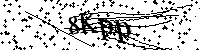 Lūdzu, ierakstiet zemāk norādītos burtus un ciparus
