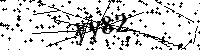 Lūdzu, ierakstiet zemāk norādītos burtus un ciparus