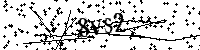Lūdzu, ierakstiet zemāk norādītos burtus un ciparus