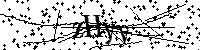 Lūdzu, ierakstiet zemāk norādītos burtus un ciparus