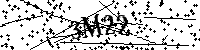 Lūdzu, ierakstiet zemāk norādītos burtus un ciparus