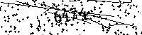 Lūdzu, ierakstiet zemāk norādītos burtus un ciparus
