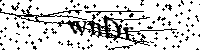 Lūdzu, ierakstiet zemāk norādītos burtus un ciparus