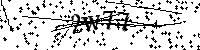 Lūdzu, ierakstiet zemāk norādītos burtus un ciparus