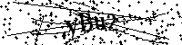 Lūdzu, ierakstiet zemāk norādītos burtus un ciparus