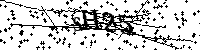 Lūdzu, ierakstiet zemāk norādītos burtus un ciparus