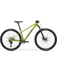 Merida BIG.NINE 3000 III1 MATT FALL GREEN(BLK/SLV-GRN)