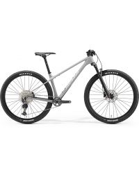 Velosipēds Merida BIG.NINE 3000 III1 COOL GREY(SILVER/BLACK)