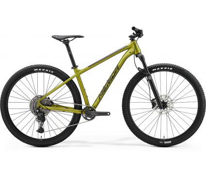Merida BIG.NINE 400 IV1 SILK FALL GREEN(BLACK)